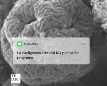 TEDIC: Inteligencia artificial en la Sala Constitucional en Paraguay 