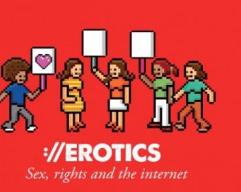 EROTICS: Exploratory research on sexuality and the internet (executive summary)