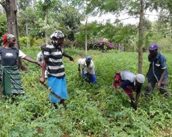 APC members in 2016: Award-winning digital farm records system helps farmers reach their full potential