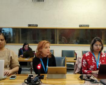 Dynamic Coalition on Gender and Internet Governance: Emerging issues on sexuality and diversity