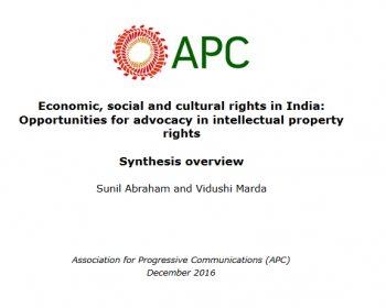 Economic, social and cultural rights in India: Opportunities for advocacy in intellectual property rights