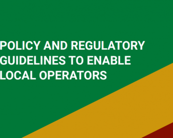 Expanding the telecommunications operators ecosystem: Policy and regulatory guidelines to enable local operators