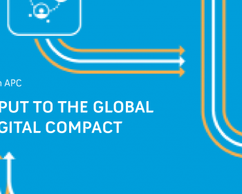 APC input to the Global Digital Compact