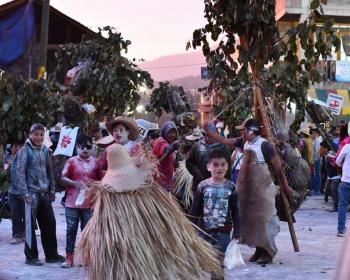 Semillero de redes comunitarias en Michoacán, México: "En estos últimos ocho años hemos avanzado mucho más que en los anteriores cincuenta”