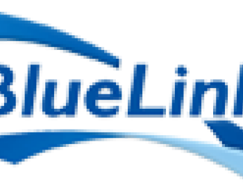 BlueLink Information Network