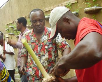 Formation en agriculture communautaire urbaine au Cameroun