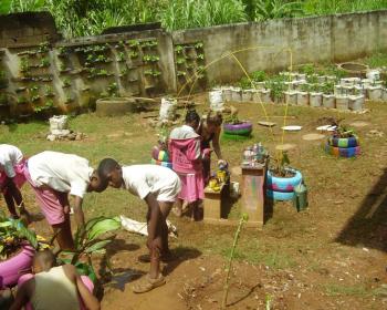 Un programme d'agriculture urbaine au Cameroun