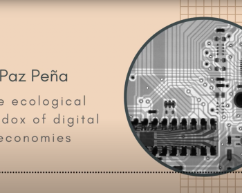 The ecological paradox of digital economies: A conversation between Paz Peña and Joey Ayoub