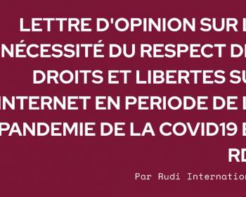 Rudi International: Respect for internet rights and freedoms during the COVID-19 pandemic 