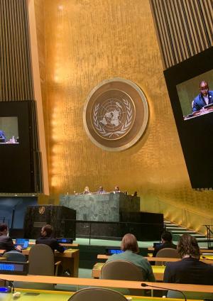 Lettre ouverte aux membres de l’Assemblée générale de l’ONU concernant le Comité de l’ECOSOC chargé des ONG