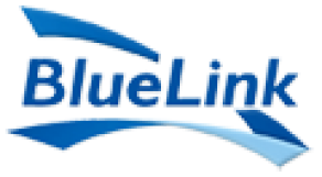 BlueLink Information Network